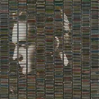 5510116852 Stephane Eicher - Poussiere D Or (2025) CD (afr)