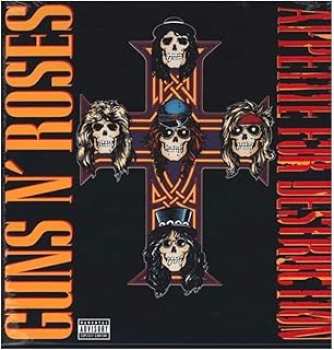 720642414811 Guns N Roses - Appetite For Destruction Vinyle 33t (abe)