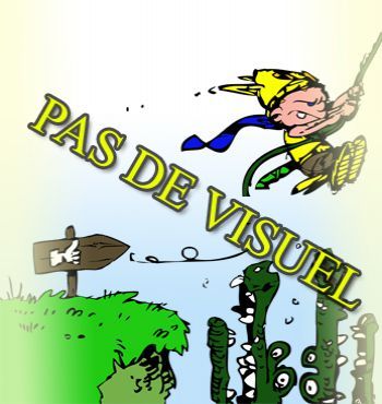 5510116953 alimentation MSI MAG A1000GLS PCIE5  1000w gold plus